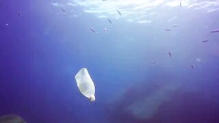 По Всему Миру Прямо Сейчас