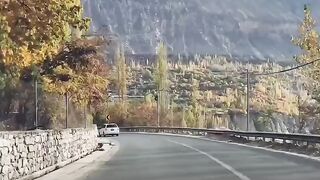Natural View