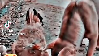 Hen and dog #funny #videos