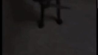 Amazing video Dog with monkey???????? #short #youtubeshorts
