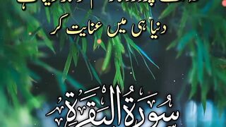 انسان کو ھدایت