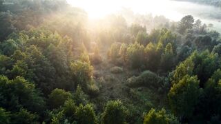 Study Music To Increase Your Productivity by 1000%