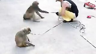 # so funny video