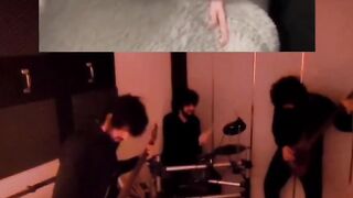 Tiktok compilation collabo with a bird