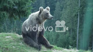 BB-09ffc7c9-9178-4ac7-b2ea-e2e67f58e01d-preview.