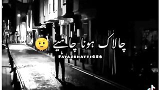 Shaye ree ka maza