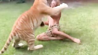 Lion ???? Man