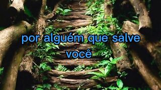 Motivaçaodiaria