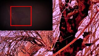 Mysterious creature or Werewolf! Mysterious creatures caught on camera
