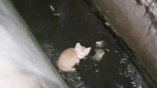 Boleh menolong, tapi jangan terlalu baik