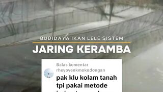 Punya kolam tanah ukuran luas, saya rekomendasikan sistem ini