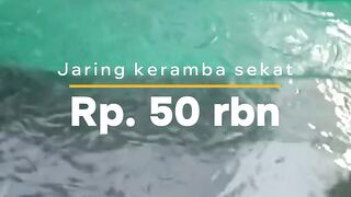 Alat ini sangat dibutuhkan dalam budidaya ikan lele all segmen