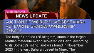 Auction of Worlds Largest Mars Meteorite Sparks O