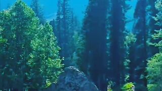 beautiful Kashmir 3
