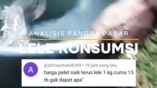Begini jadinya kalau tidak melakukan analisis pasar dulu