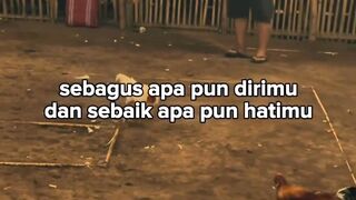 DAFTAR BOSPLAY AGEN TARUHAN TERBESAR SABUNG AYAM ONLINE AMAN DAN TERPERCAYA 39