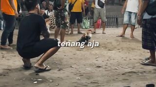 DAFTAR BOSPLAY AGEN TARUHAN TERBESAR SABUNG AYAM ONLINE AMAN DAN TERPERCAYA 41