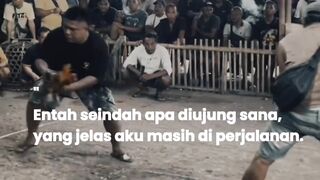 DAFTAR BOSPLAY AGEN TARUHAN TERBESAR SABUNG AYAM ONLINE AMAN DAN TERPERCAYA 43