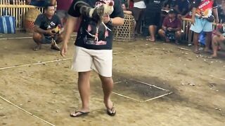 DAFTAR BOSPLAY AGEN TARUHAN TERBESAR SABUNG AYAM ONLINE AMAN DAN TERPERCAYA 45