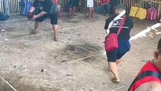 DAFTAR BOSPLAY AGEN TARUHAN TERBESAR SABUNG AYAM ONLINE AMAN DAN TERPERCAYA 49
