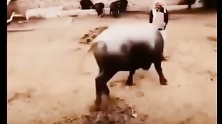 Power means Nothing