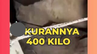 viral hari ini
