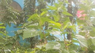 My flower garden, tell me in the comments what it looks like.