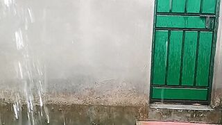 Raining cats and dogs