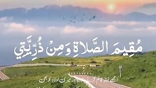 القرآن الکریم 31