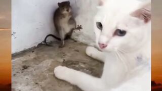 mau kemana loh