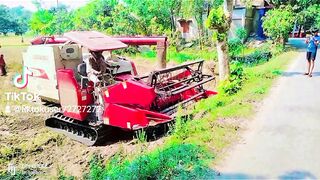 Jibon 2