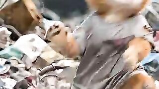 Kittens Prank Turns Into a Nightmare What Happens Next Is Shocking!