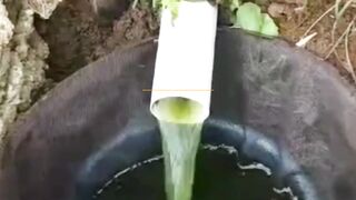 Pembudidaya lele WAJIB memiliki alat ini