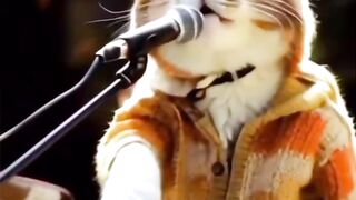 Cats Bekhayali Songs