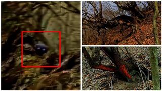 Ghost scared the tourist in the forest - Scary videos