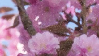 Quote of the day for Inspire your Life