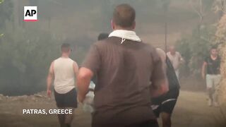 People race to rescue farm animals and pets during Greece