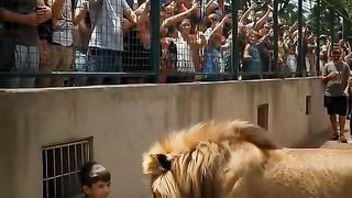 Fun   masti    FunVideo  funnyreels 276
