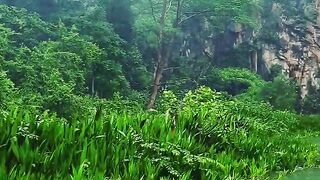 singaporequarry nparksbuzz nature singapore