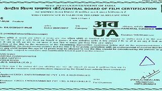 Raees 2017