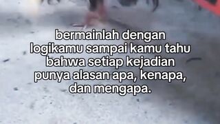 DAFTAR BOSPLAY AGEN TARUHAN TERBESAR SABUNG AYAM ONLINE AMAN DAN TERPERCAYA 54