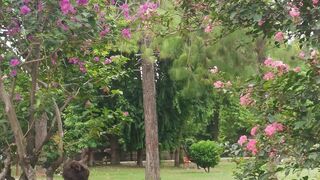 visit to dakan park faisalabad  (4)