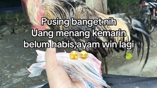 DAFTAR BOSPLAY AGEN TARUHAN TERBESAR SABUNG AYAM ONLINE AMAN DAN TERPERCAYA 56