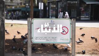 قرار منع إطعام الطيور والحيوانات الضالة يثير استياء المواطنين
