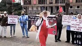 بالمباشر وقفة خاصة بحقوق الحيونات