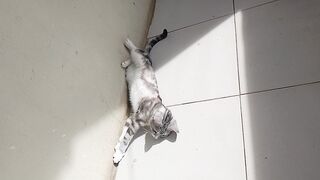 Blue finally saw sunlight
