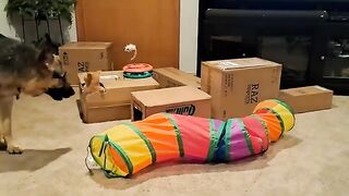 Bennys had just about enough of this box business