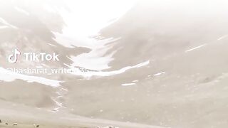 Online Earning app 2025 488