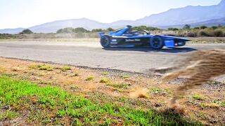 Worlds Fastest Car vs Cheetah  Speed Showdown!  Part 1