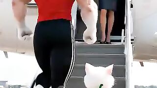 Animated video 42